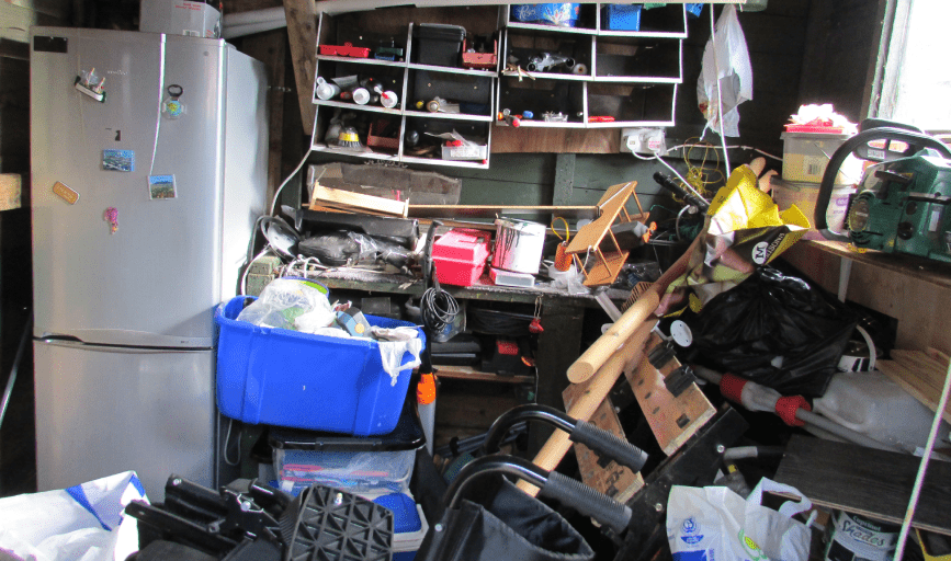 HOUSE CLEANOUT
