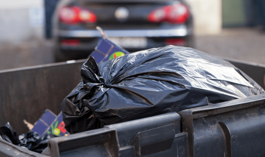 TRASH REMOVAL